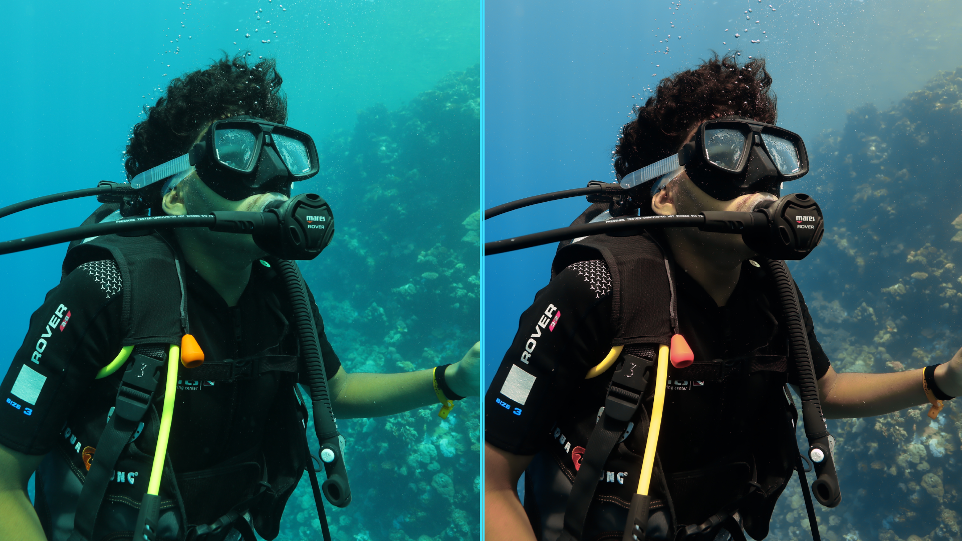 Photo before after colorgraded of turtle