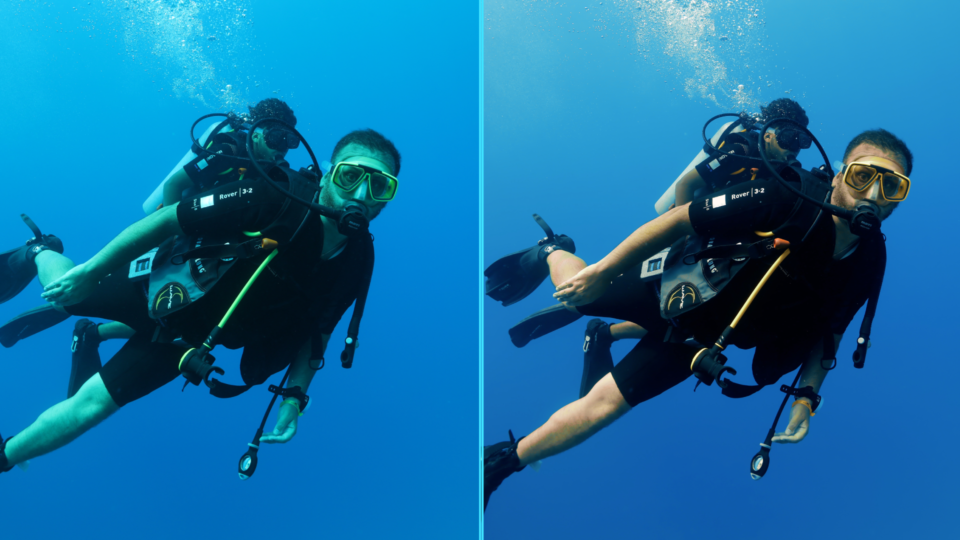 Photo before after colorgraded of turtle