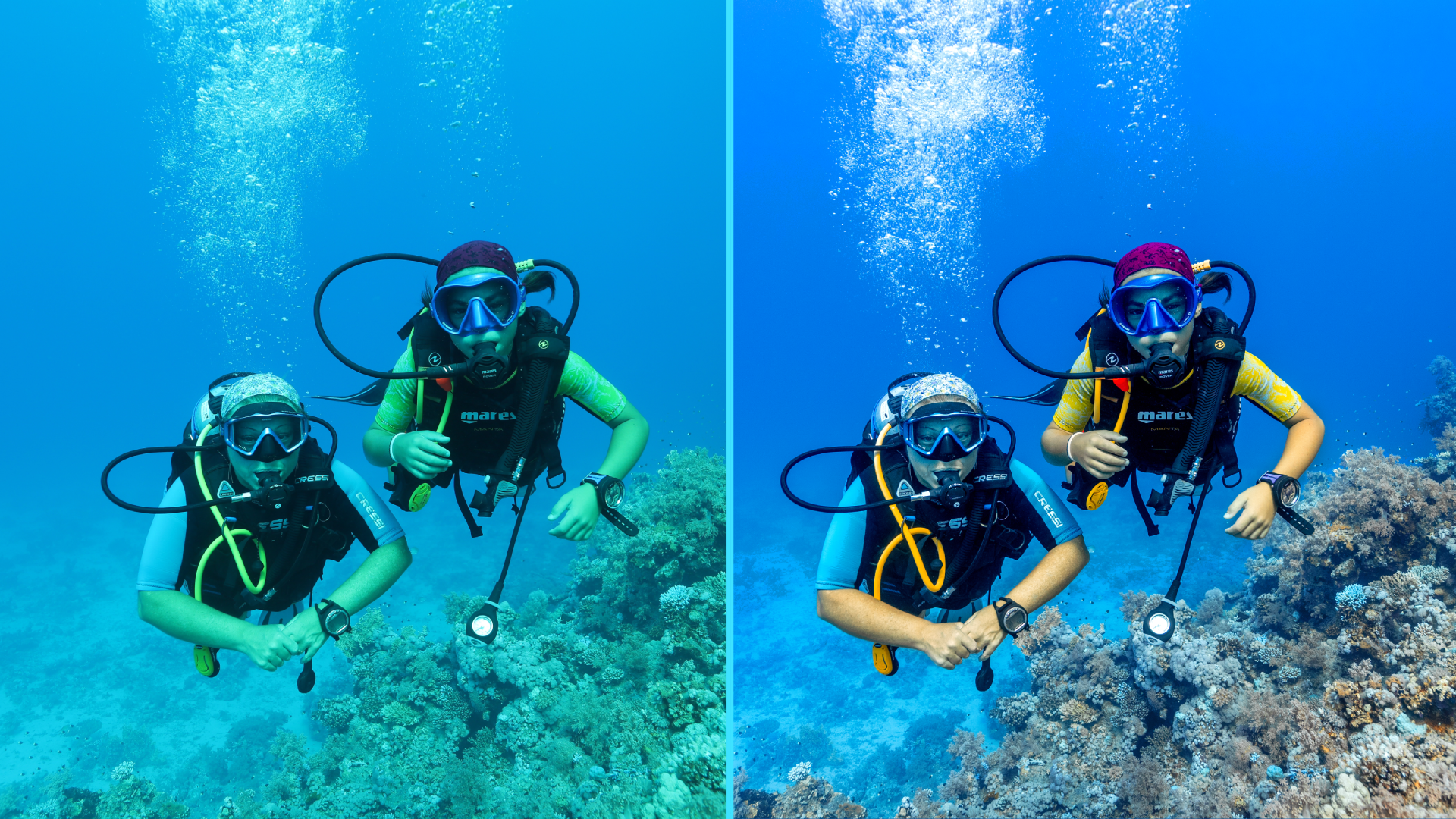 Photo before after colorgraded of turtle