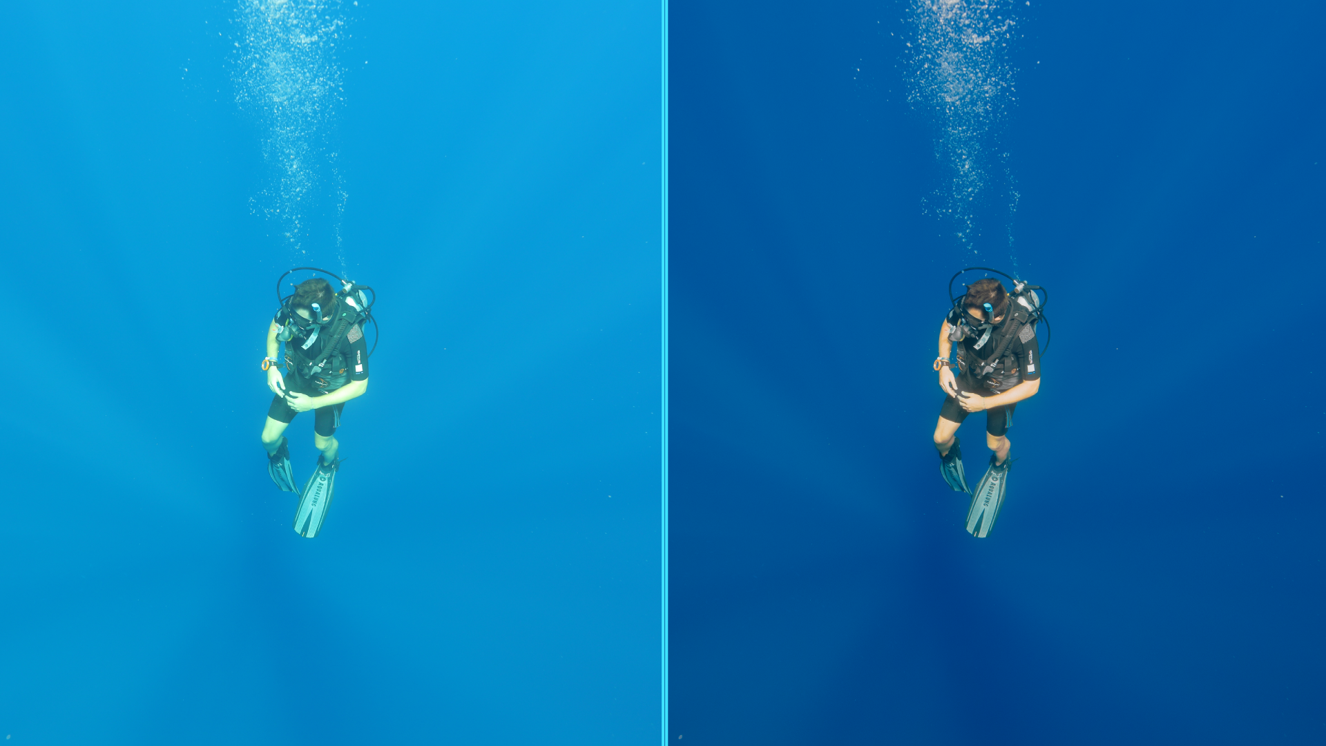 Photo before after colorgraded of turtle
