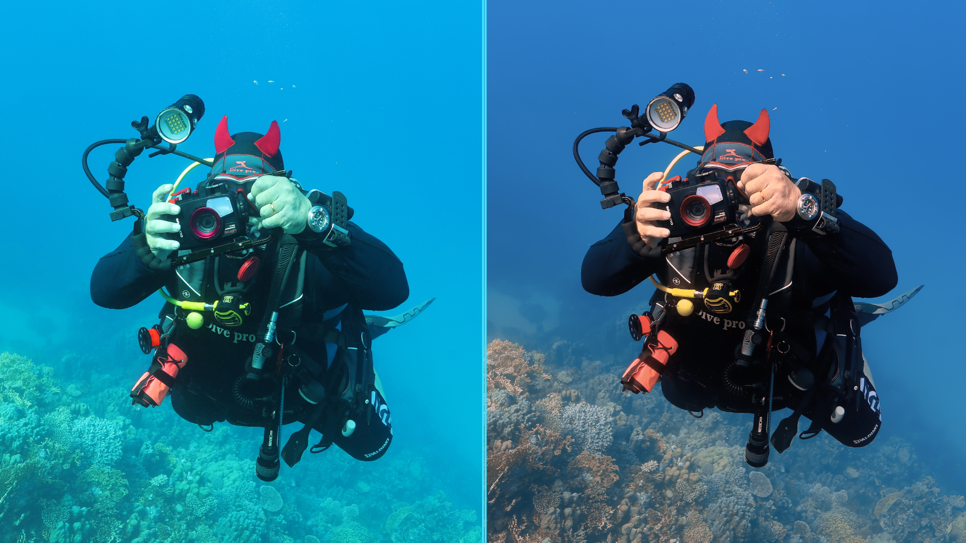 Photo before after colorgraded of turtle