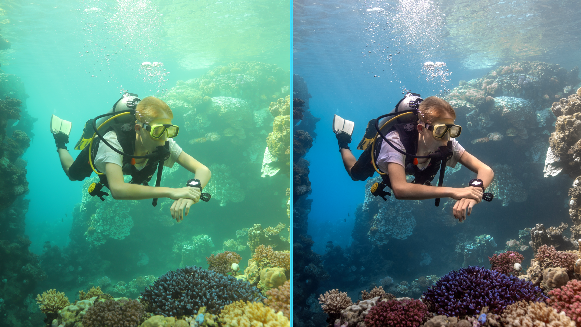 Photo before after colorgraded of turtle