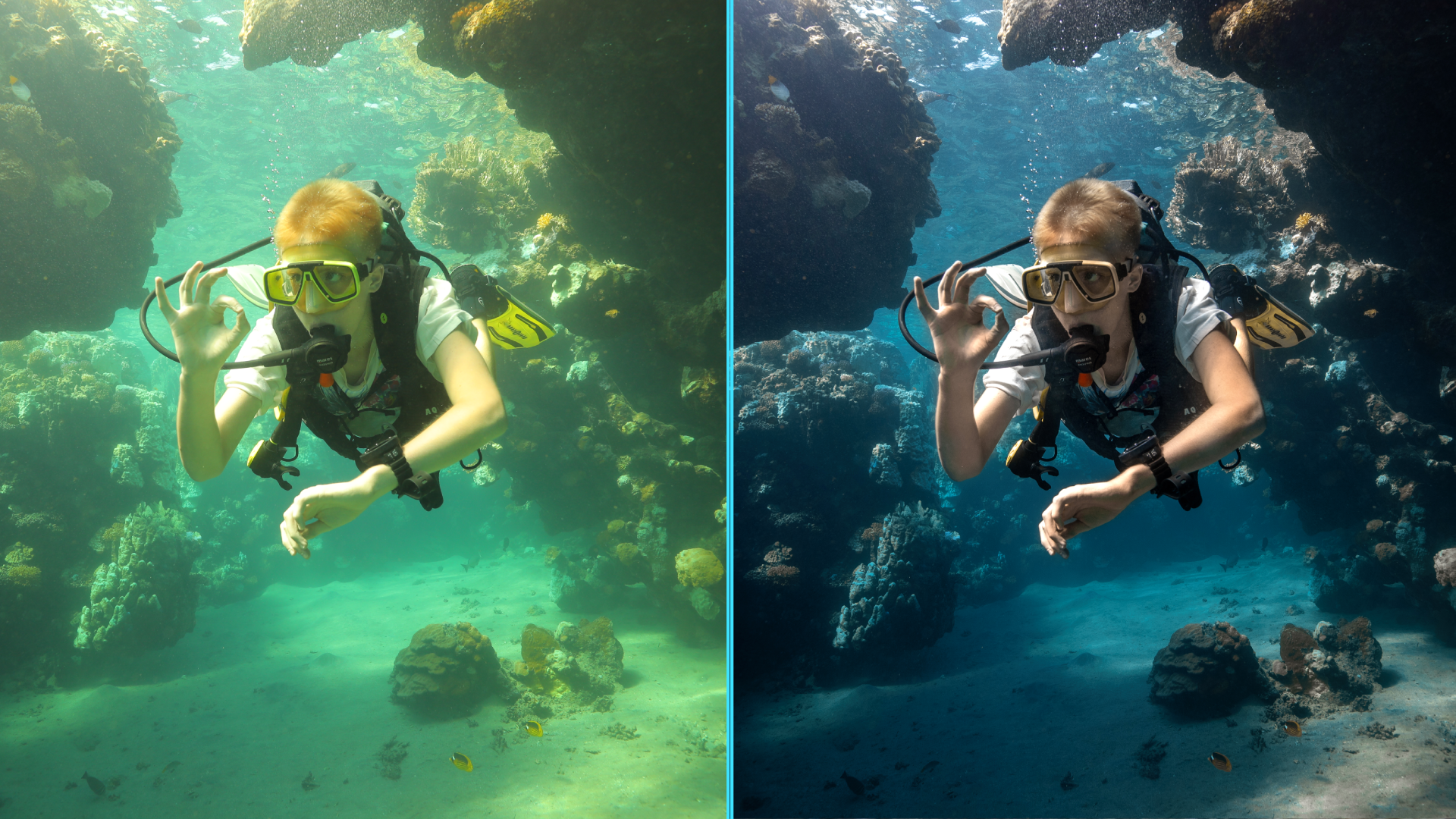 Photo before after colorgraded of turtle