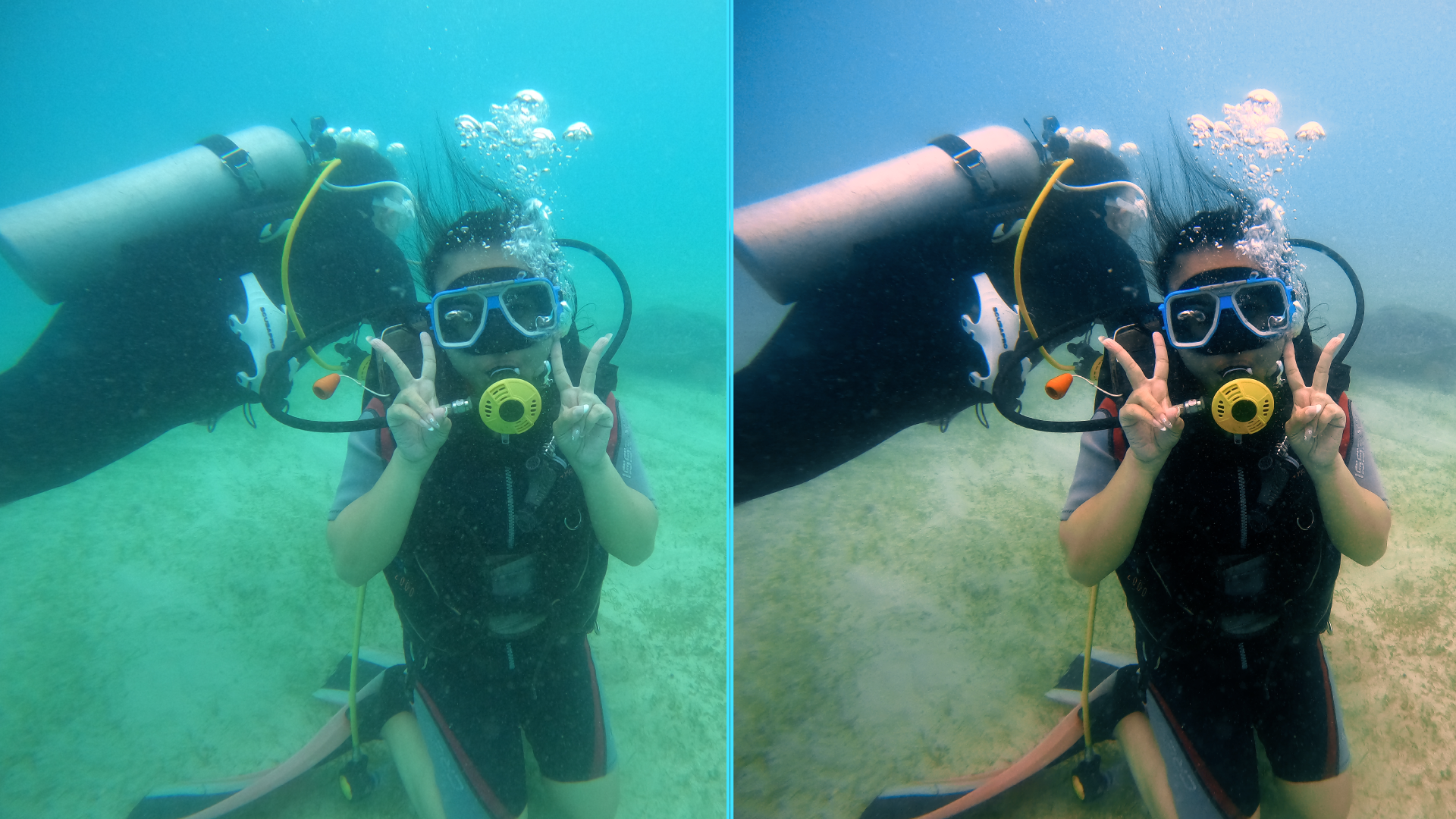 Photo before after colorgraded of turtle