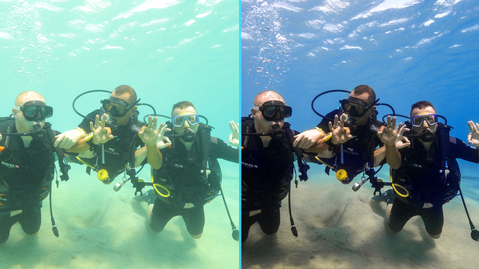 Photo before after colorgraded of turtle