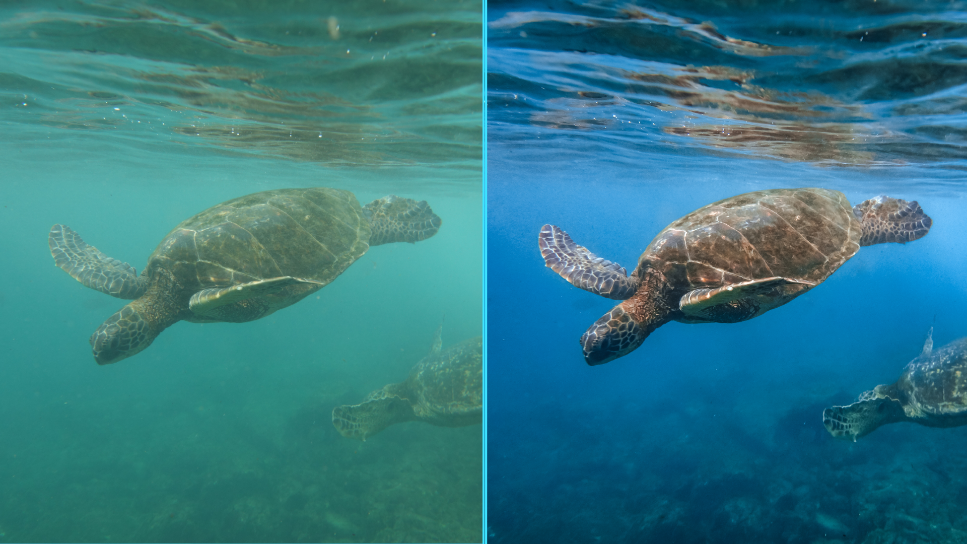 Photo before after colorgraded of couple diver