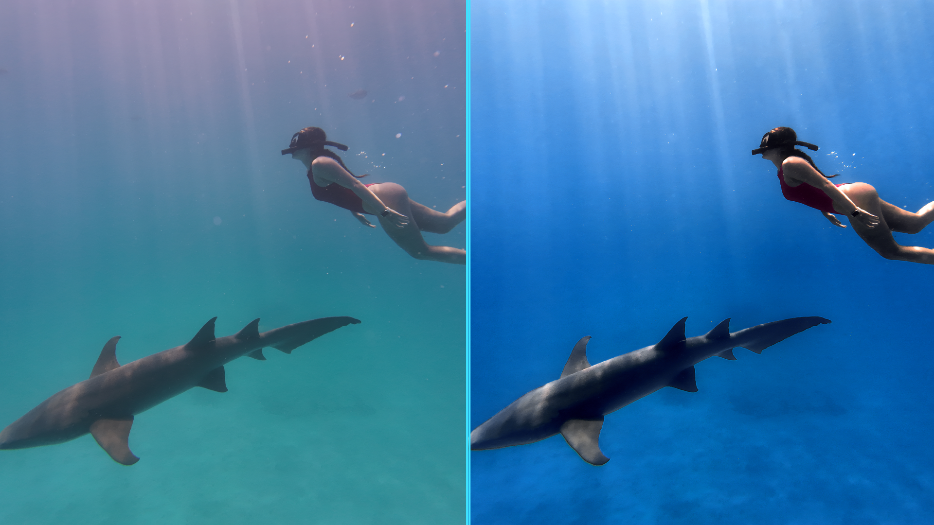 Photo before after colorgraded of woman with shark