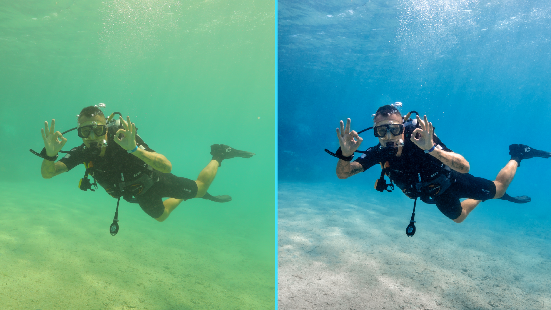 Photo before after colorgraded of turtle